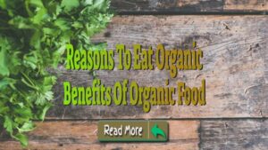 Benefits Of Organic Food
