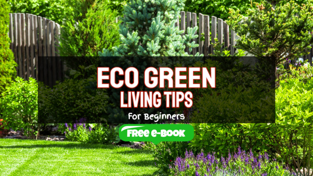eco green living tips