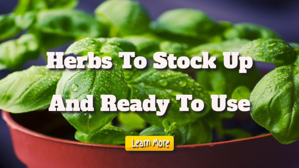 herbs to stock up and ready to use