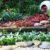 Tropical Landscape Gardeners: Elevating Your Sydney Garden