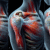 Acupuncture Techniques for Relieving Frozen Shoulder Pain