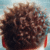 Scalp Care Techniques to Boost Hair Growth