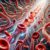 Vitamin B12 Blood Test: Essential Guide for Southport Locals
