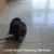 Grout Cleaners: Top Local Picks Near Longcross