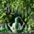 Herbal Hair Rinses: DIY Recipes for Beautiful Hair