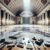 Marble Floor Polishing Prices in the UK: A Clear Guide