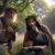 Herbal Protocols for Health in the UK: Your Essential Guide