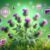 Herbs for Liver Health: Your Essential Guide