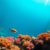 Great Blue Hole Belize: Essential Guide for Divers and Snorkelers