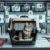 Cat Airline Policies: Essential Tips for Pet Travel