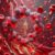 Ferritin Blood Test: A Comprehensive Guide for Banbury Residents
