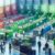 Bins for Waste Sorting: Best Options for UK Clearances