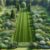 Garden Clearance Cost: Your Essential Guide in the UK
