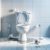 Toilet Repair Services in North Vancouver: Expert Solutions