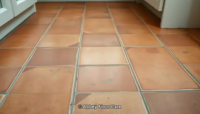 What Causes Terracotta to Get Dirty Quickly