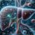 Best Herbs for Liver Detox: Our Top UK Selections