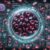 Ferritin Blood Test Guide: Essential Insights for Warwick Residents