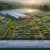 Quality Herbs Sourcing: A Guide for UK Selection