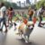 Chihuahua Social Anxiety: Top Strategies for Relief