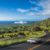 Scenic Routes and Hidden Gems in a Maui Upcountry Adventure