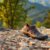 Xero Shoes: Stay Safe and Dry in Wet Conditions