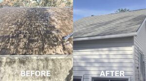 Maximise Home Maintenance with the Crucial Benefits of Soft Washing