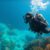 Big Blue Hole in Belize: Essential Diving Tips and Guide