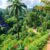Belize Attractions: Essential Travel Tips and Guide