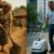 Janitorial Services in Queen Camel: Essential Tips and Benefits