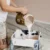 Exterior Paint Jobs: Succeeding in Sydney’s Humidity on a Budget