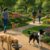 Pet-Friendly Attractions: Essential Tips for Adventurous Travel