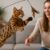 Bengal Cat Exercise Needs: Key Tips for Optimal Health