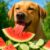 Seasonal Diet Adjustments: Vital Health Tips for Pets