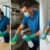 Commercial Cleaning Services in Ilchester for Businesses