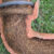 Tree Roots in Drains: Tackling a Sutherland Shire Issue