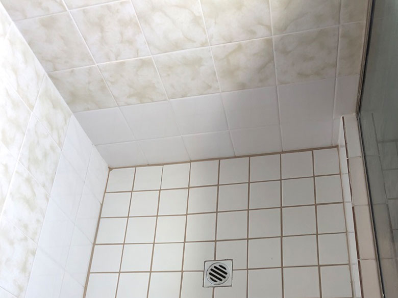 regrouting tiles