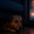 Firework Phobia Solutions: Safe Comfort Tips for Pets