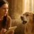Allergic Reaction Interventions for Quick Pet Relief