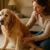 Gentle Exercise for Seniors: Safe Routines for Pets
