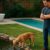 Drowning Prevention Tips for Ensuring Pet Safety