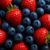 Summer Berries: Creative Ways to Preserve Their Freshness