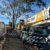Crane-Assisted Tree Removal Case Study in Edgeworth
