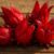 Hibiscus Flowers: Creative Cooking Tips and Techniques