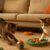 Interactive Puzzle Toys for Captivating Cats’ Playtime