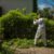 Green Waste Solutions: 4 Efficient Disposal Techniques